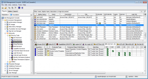 Metacoda Security Plug-ins: User Reviewer (ACE Participation Tab)