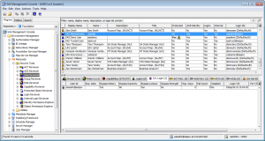 Metacoda Security Plug-ins: User Reviewer (Internal Logins Tab)
