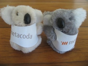 Metacoda Koala