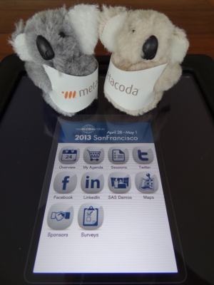 Metacoda Koalas getting SASGF13 agenda ready