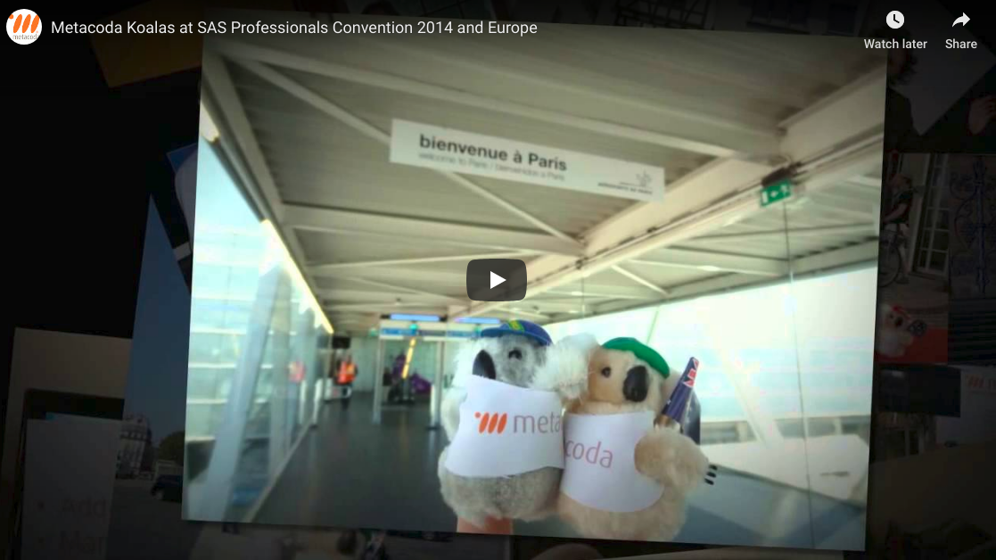 Metacoda Koalas in Europe & SAS Professionals in 2014