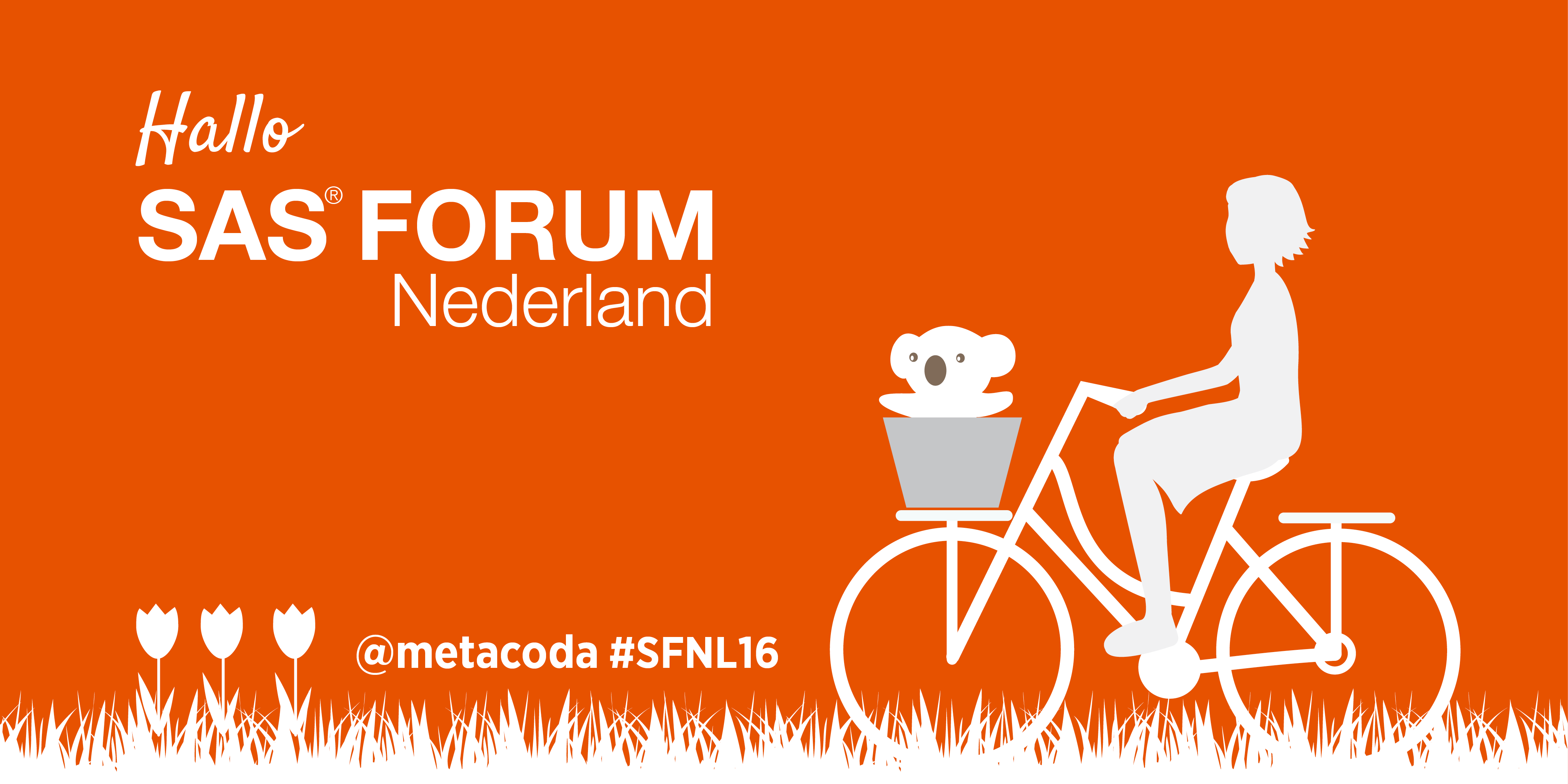 Metacoda Koalas SAS Forum 2016 Netherland Social