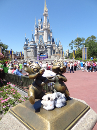 Metacoda Koalas at Disneyland Florida