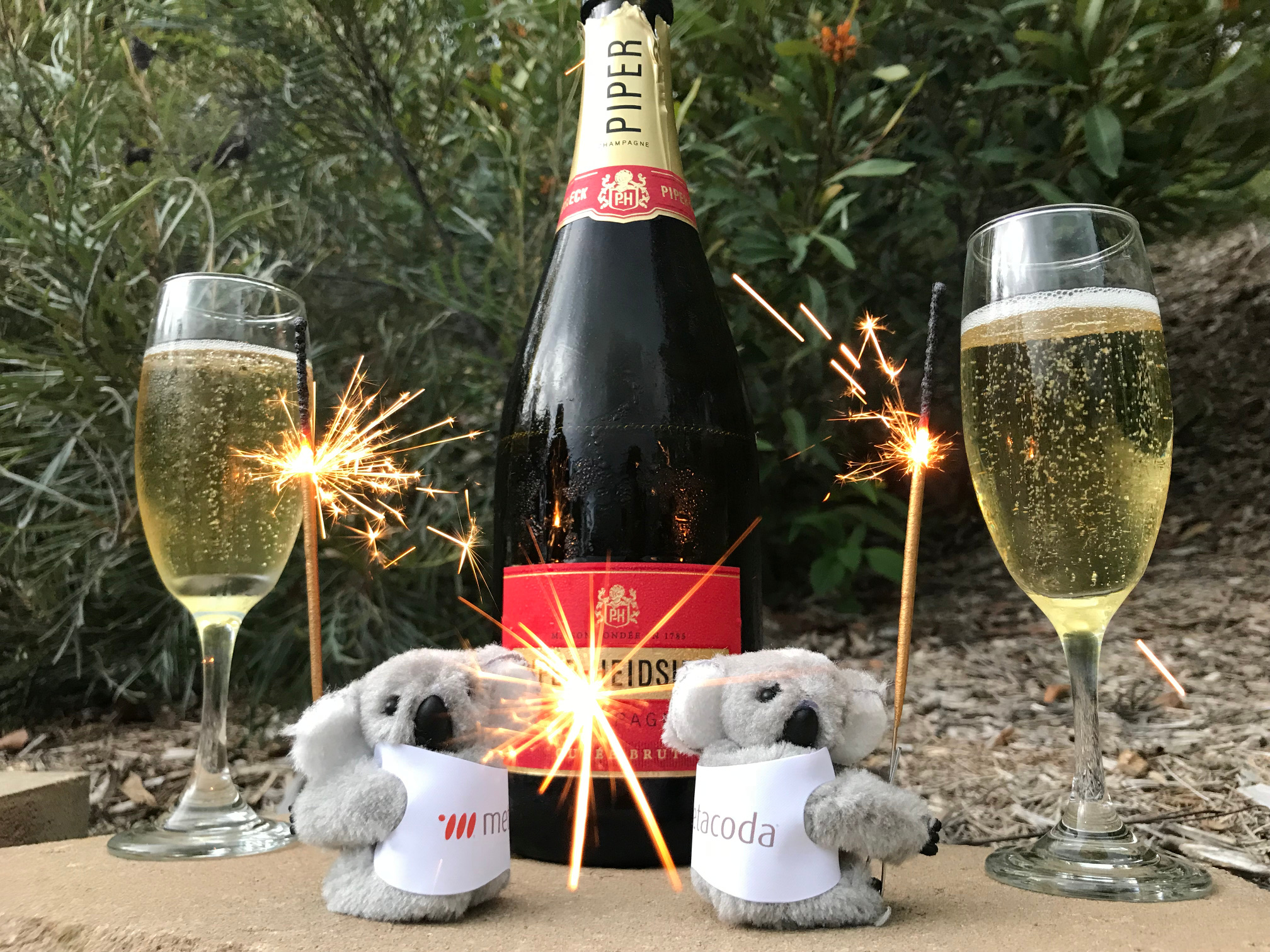 Metacoda Koalas celebrate the new year