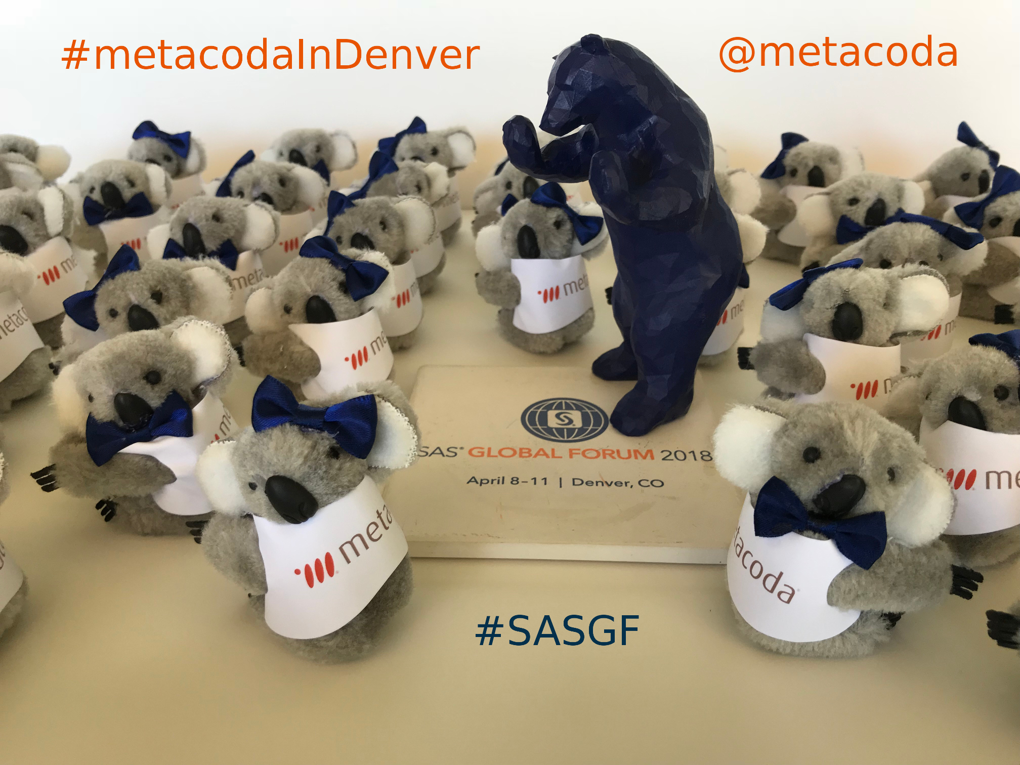 Metacoda Koalas with Blue Bear #metacodaInDenver