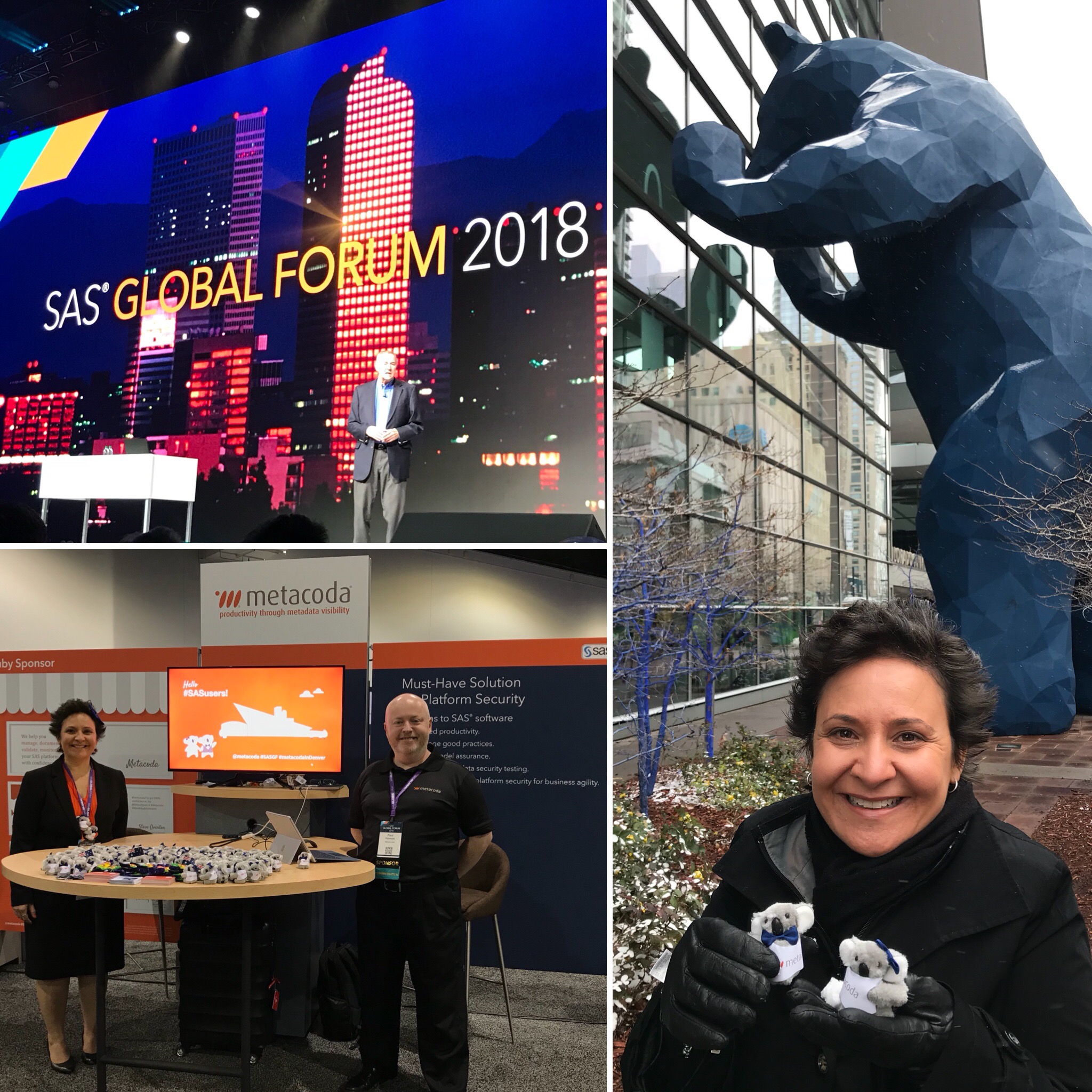 SASGF Metacoda collage