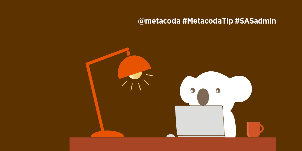 #MetacodaTip social - koala at desk