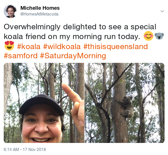 Michelle tweet - wild koala