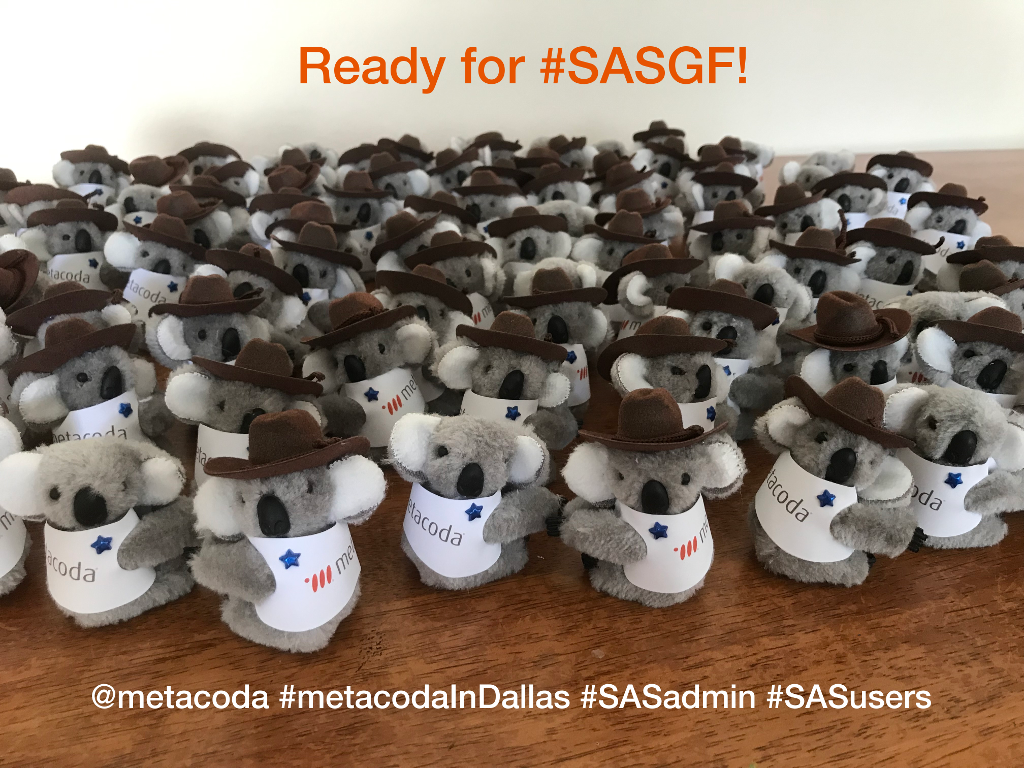 Metacoda Koalas: Ready for #SASGF!