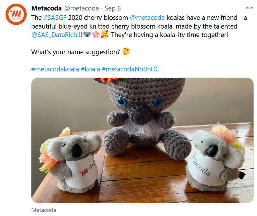 Metacoda Koalas with their friend Blossom