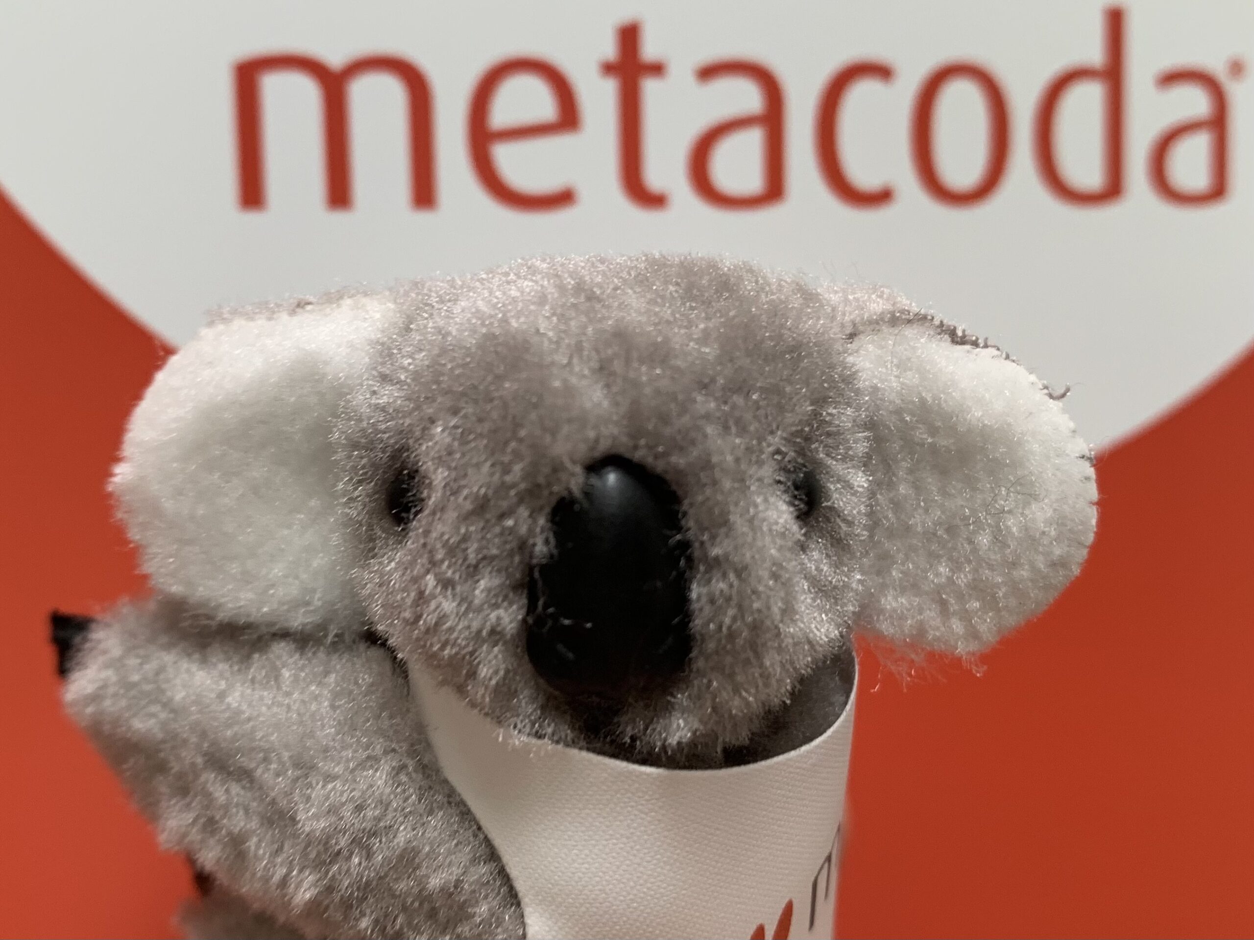 Metacoda Koala on World Emoji Day